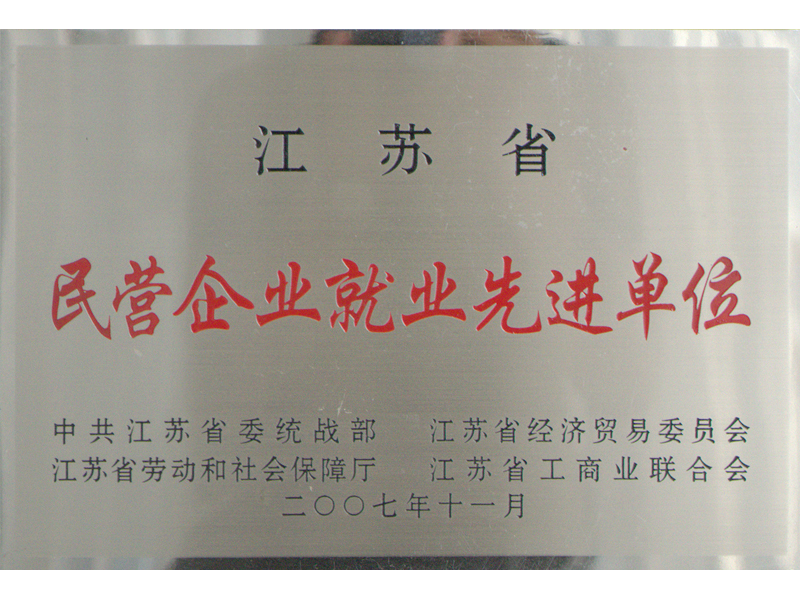 民营企业就业先进单位
